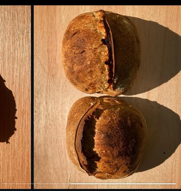 pan de campo